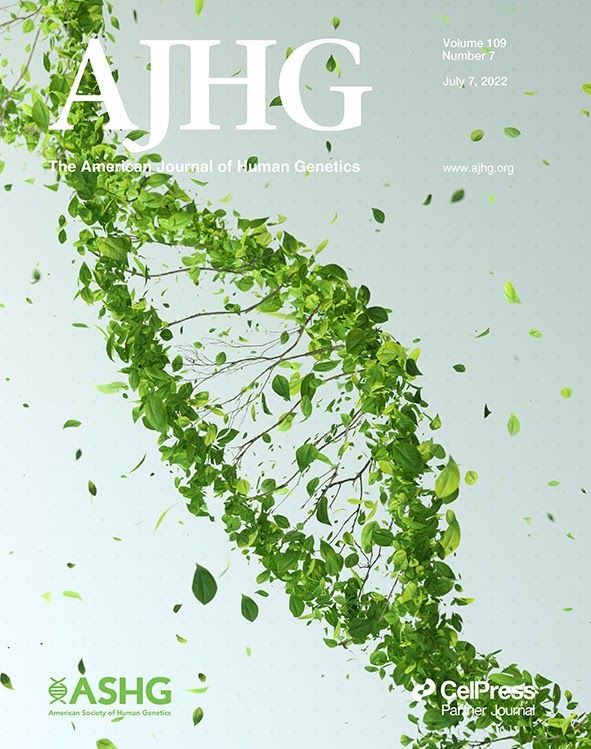 Leveraging the local genetic structure for trans-ancestry association mapping