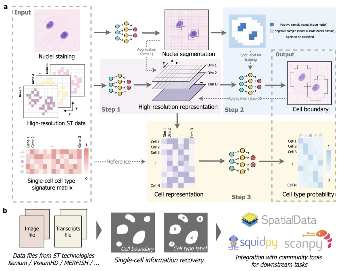 CellART: a unified framework for extracting single-cell information from high-resolution spatial transcriptomics
