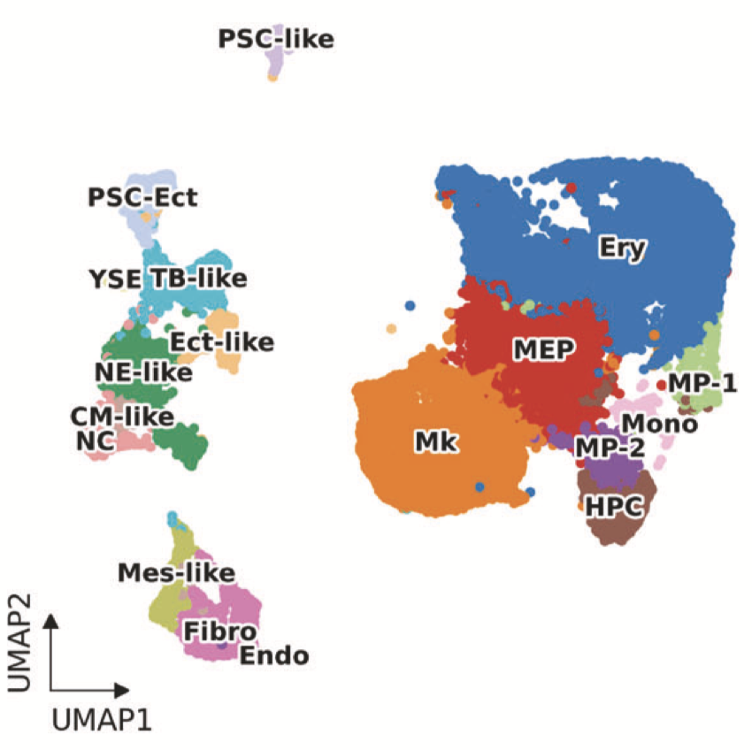 Organoid-based single-cell spatiotemporal gene expression landscape of human embryonic development and hematopoiesis