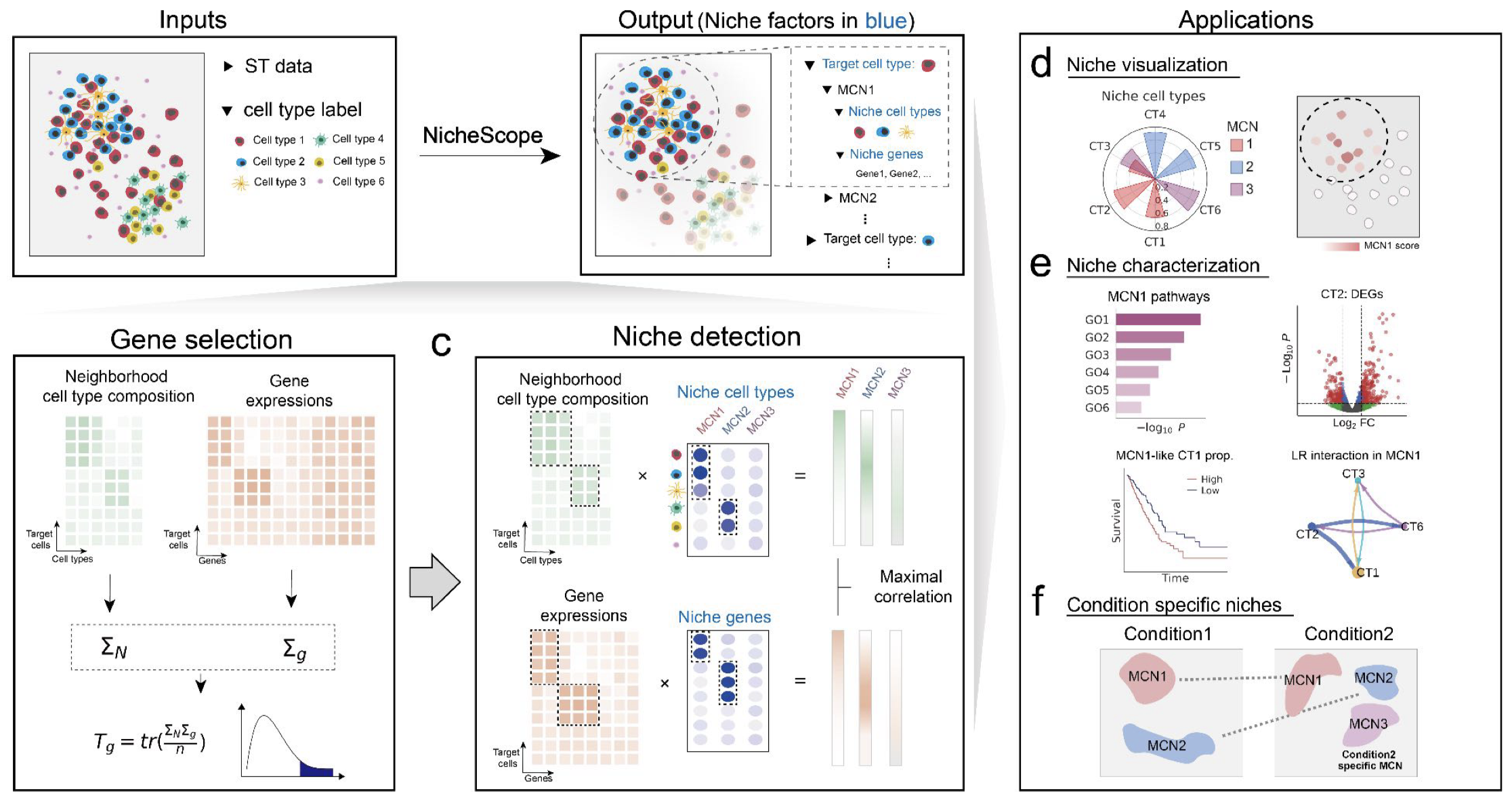 NicheScope: Identifying Multicellular Niches and Niche-Regulated Cell States in Spatial Transcriptomics