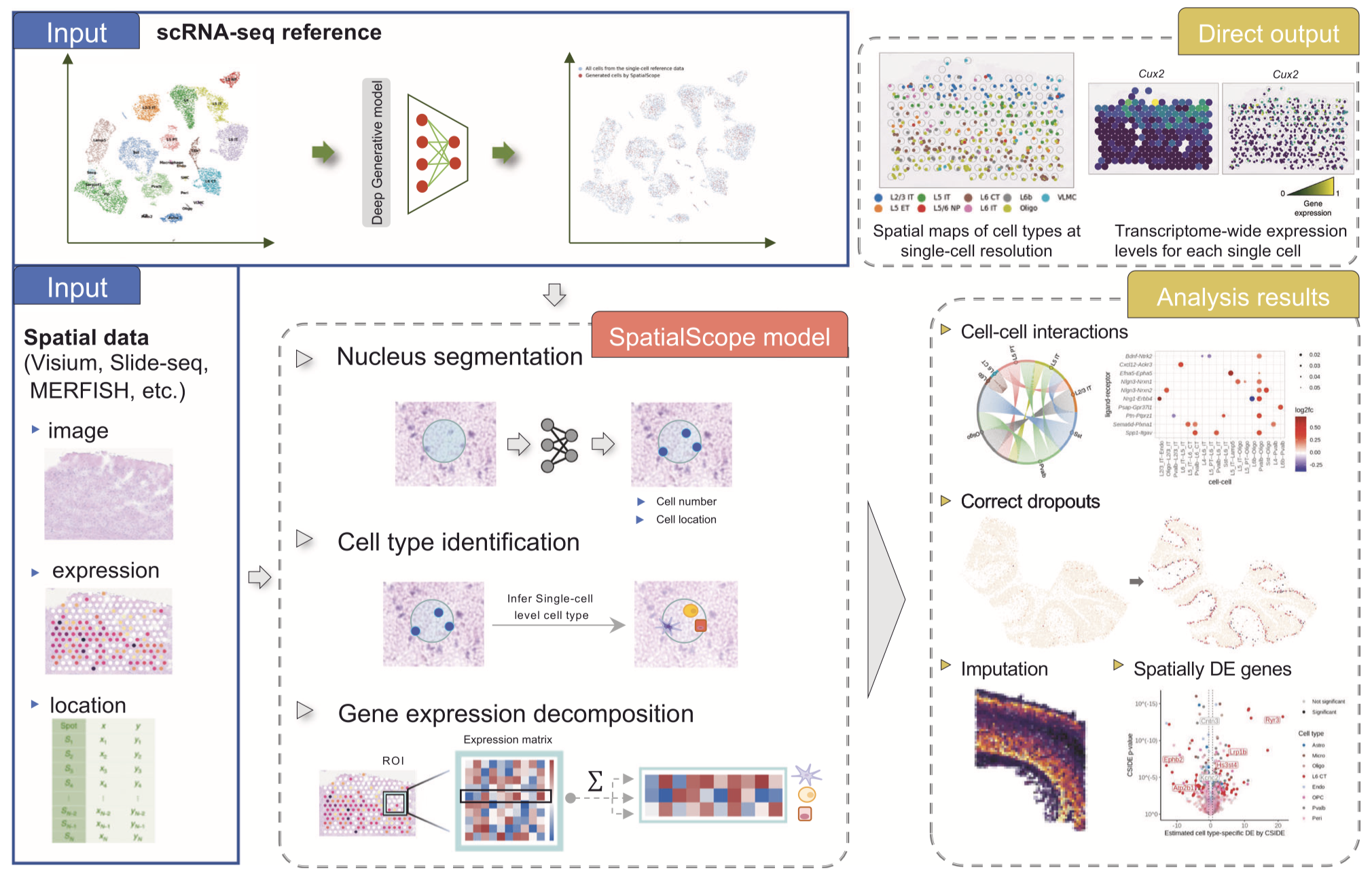 Integrating spatial and single-cell transcriptomics data using deep generative models with SpatialScope