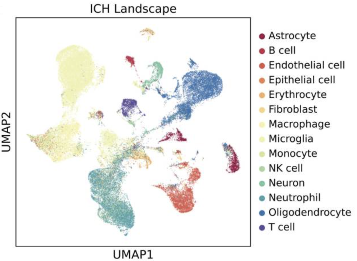 Single-cell and Spatial Transcriptomics Reveals Ferroptosis as The Most Enriched Programmed Cell Death Process in Hemorrhage Stroke-induced Oligodendrocyte-mediated White Matter Injury