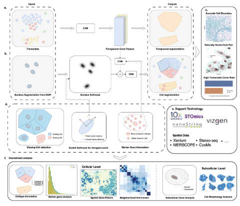 UCS: A Unified Approach to Cell Segmentation for Subcellular Spatial Transcriptomics