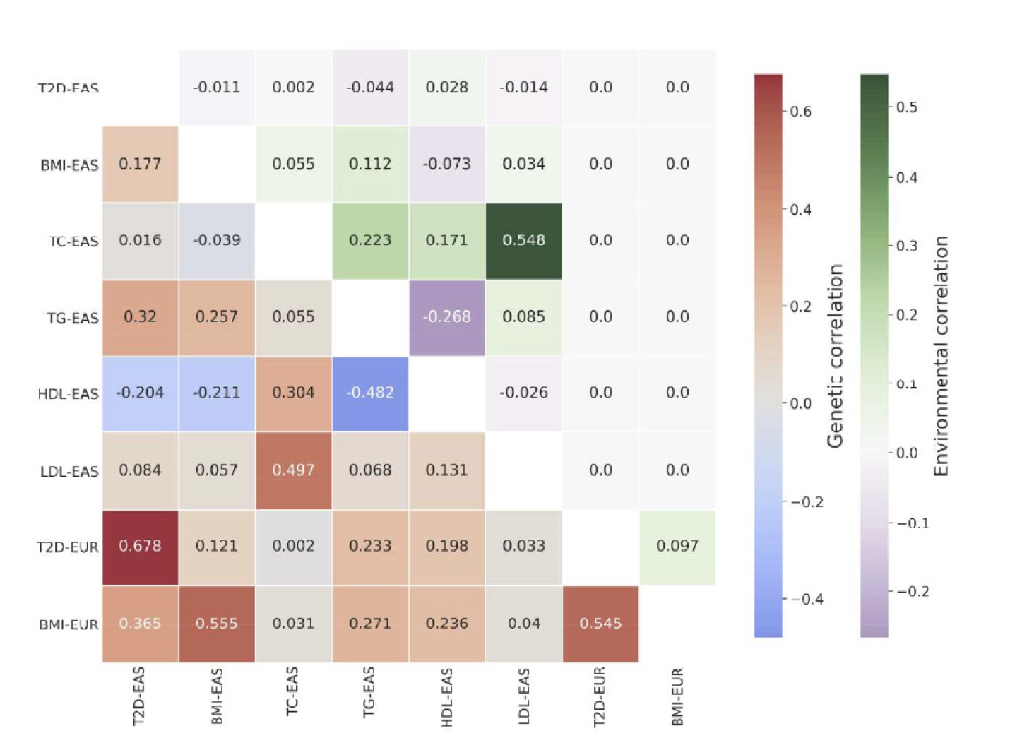 XPXP: improving polygenic prediction by cross-population and cross-phenotype analysis